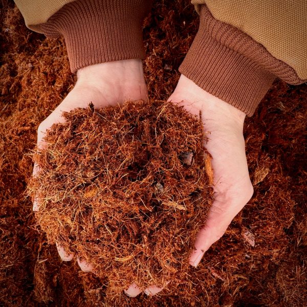 Coco Coir