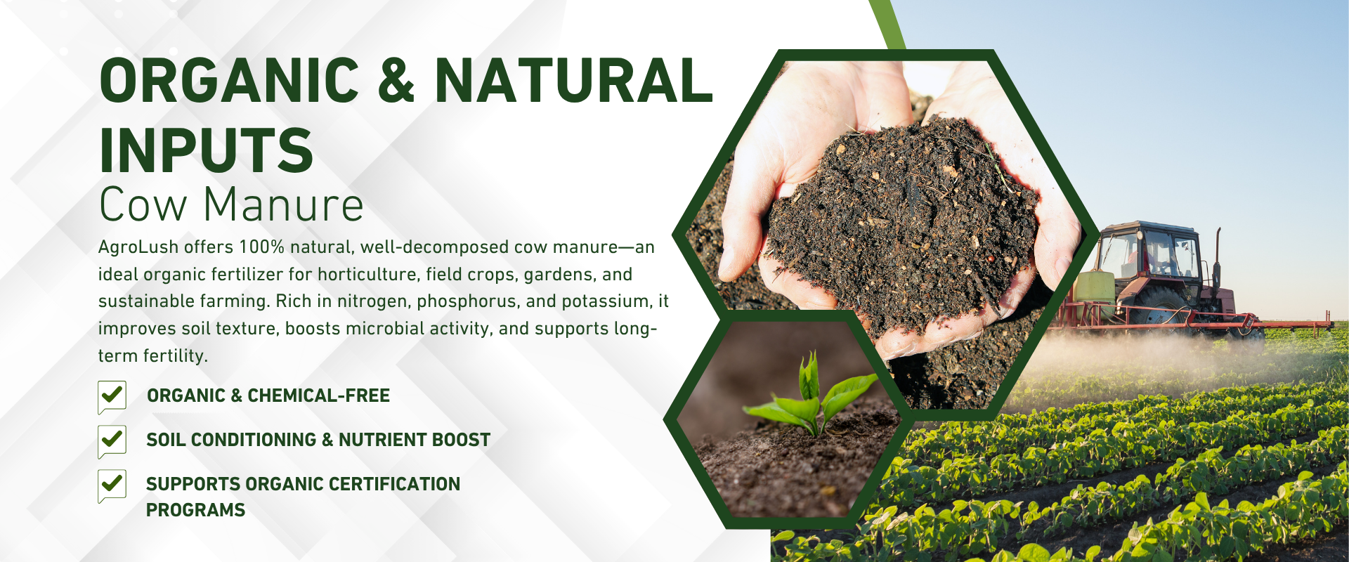 From Tree to Trade – Pure Coconut Products for the World